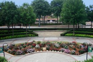 Martin Luther King rose garden