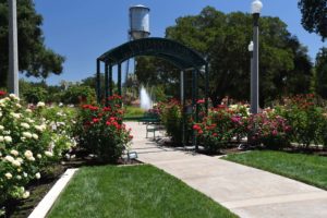 University park worlpd peace rose garden arch