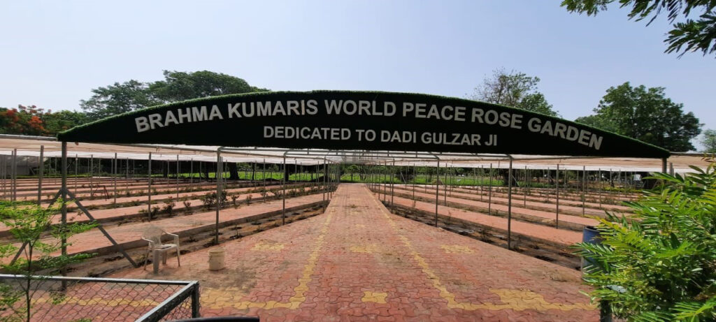 Brahma Kumaris International Rose Garden