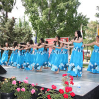 Hawaiian Dancers 2013 Hawaiian women dancing in blue festive dresses