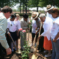 MLK Planting Ceremony with Bernice King 2008 men and women are planting a rose bush