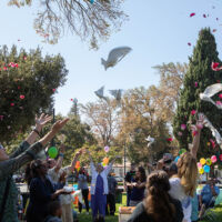 University Park 2018 People are releasing the dove in the air and throwing rose petals