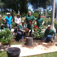 University Park Planting of Roses 2015 men and women planting roses