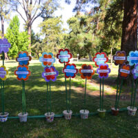 Qualities of Peace in Flower Pots Qualities of Peace in Flower Pots