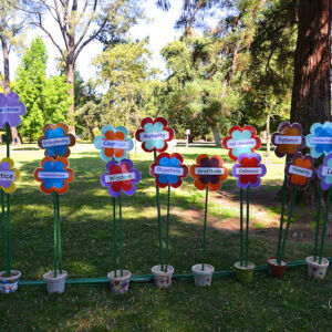 Qualities of Peace in Flower Pots Qualities of Peace in Flower Pots